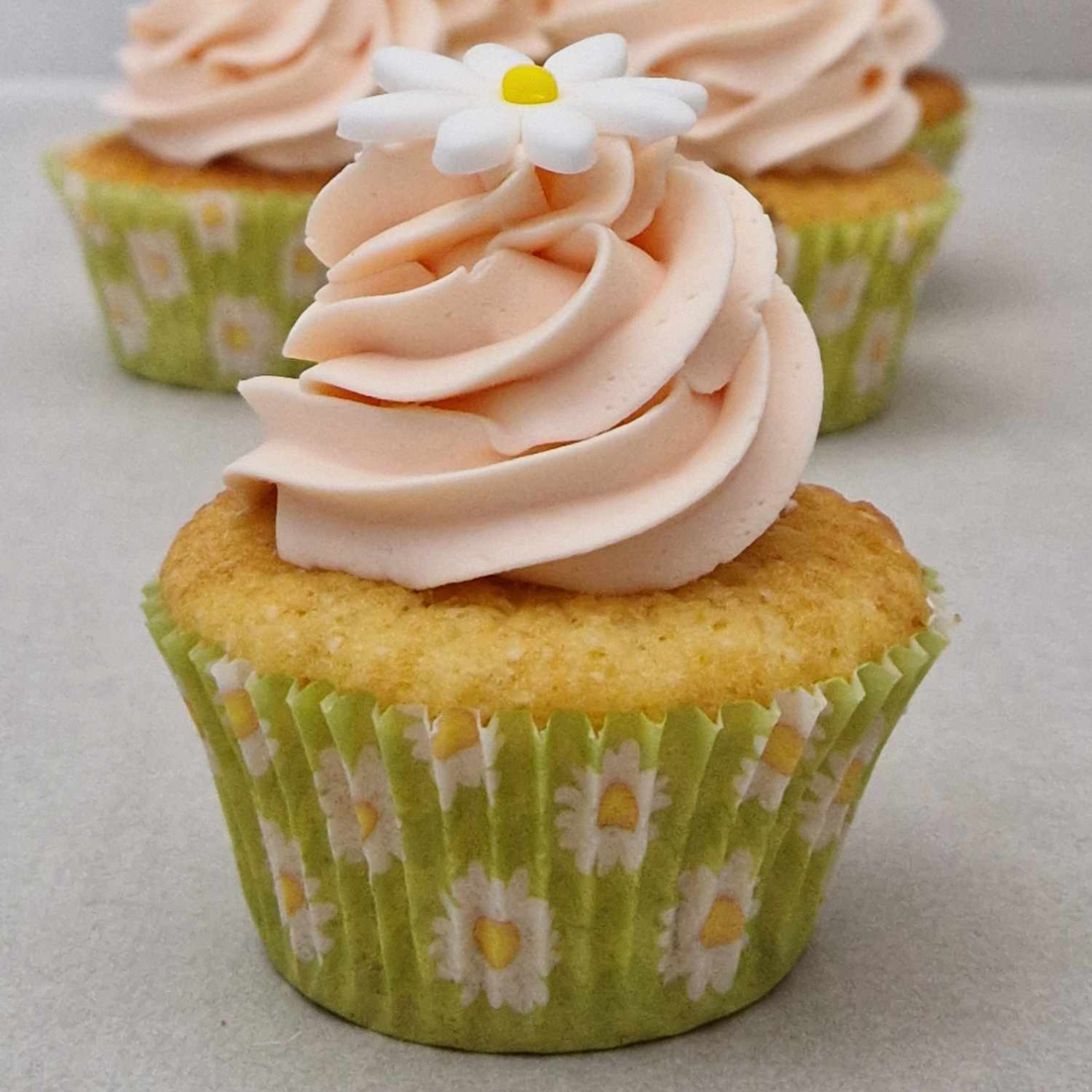 Cupcakes vanille